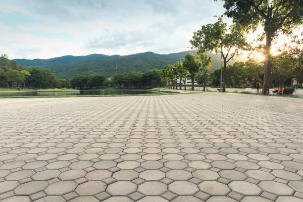 Best Residential Paver Driveway  in Meadow Oaks, FL