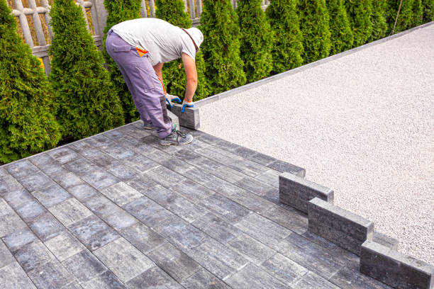 Best Driveway Paving Contractor  in Meadow Oaks, FL
