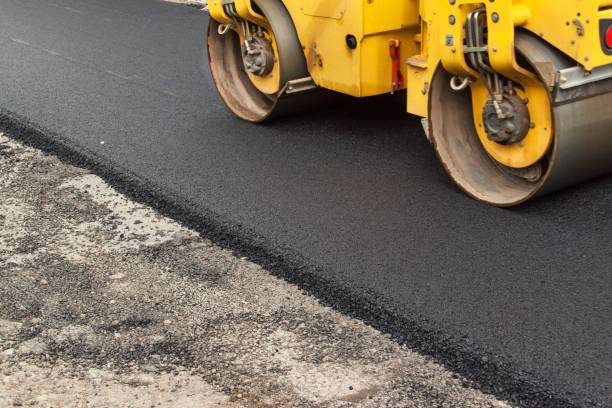 Best Professional Driveway Pavers  in Meadow Oaks, FL