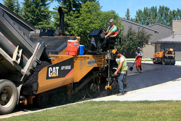 Best Permeable Paver Driveway  in Meadow Oaks, FL