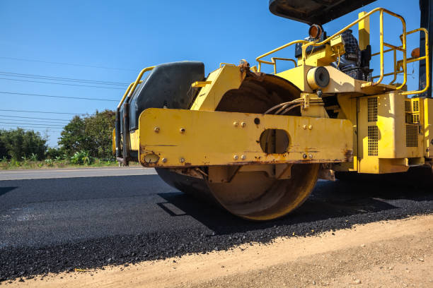 Best Local Driveway Pavers  in Meadow Oaks, FL